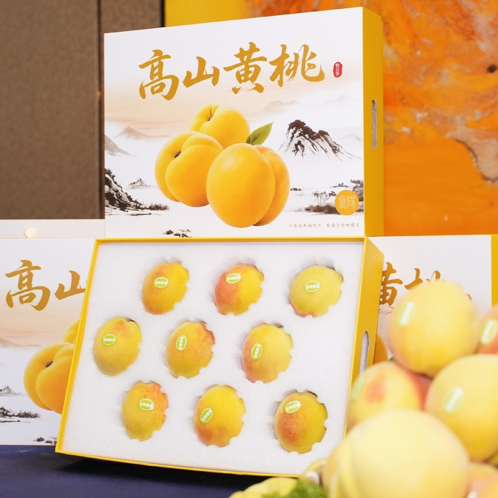 麻阳：提质特色产业 做强麻阳黄桃富民支撑