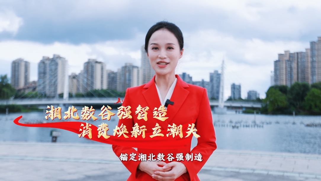 视频 | 五载奋进路 武陵启新程