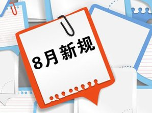 8月新规来了