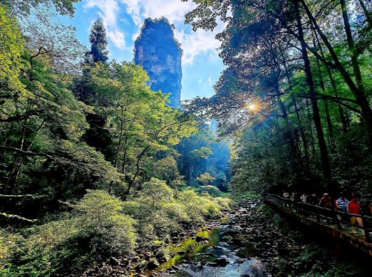 芙蓉国评论丨走出流量短视，大张家界“大”在哪