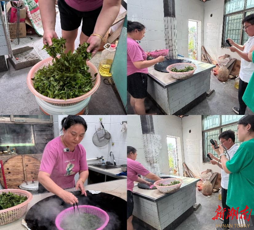 青春“三下乡”丨青芽承古韵,茶香暖客心