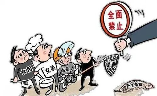 “中间商”赚差价也获刑 华容县检察院全链条追责6人