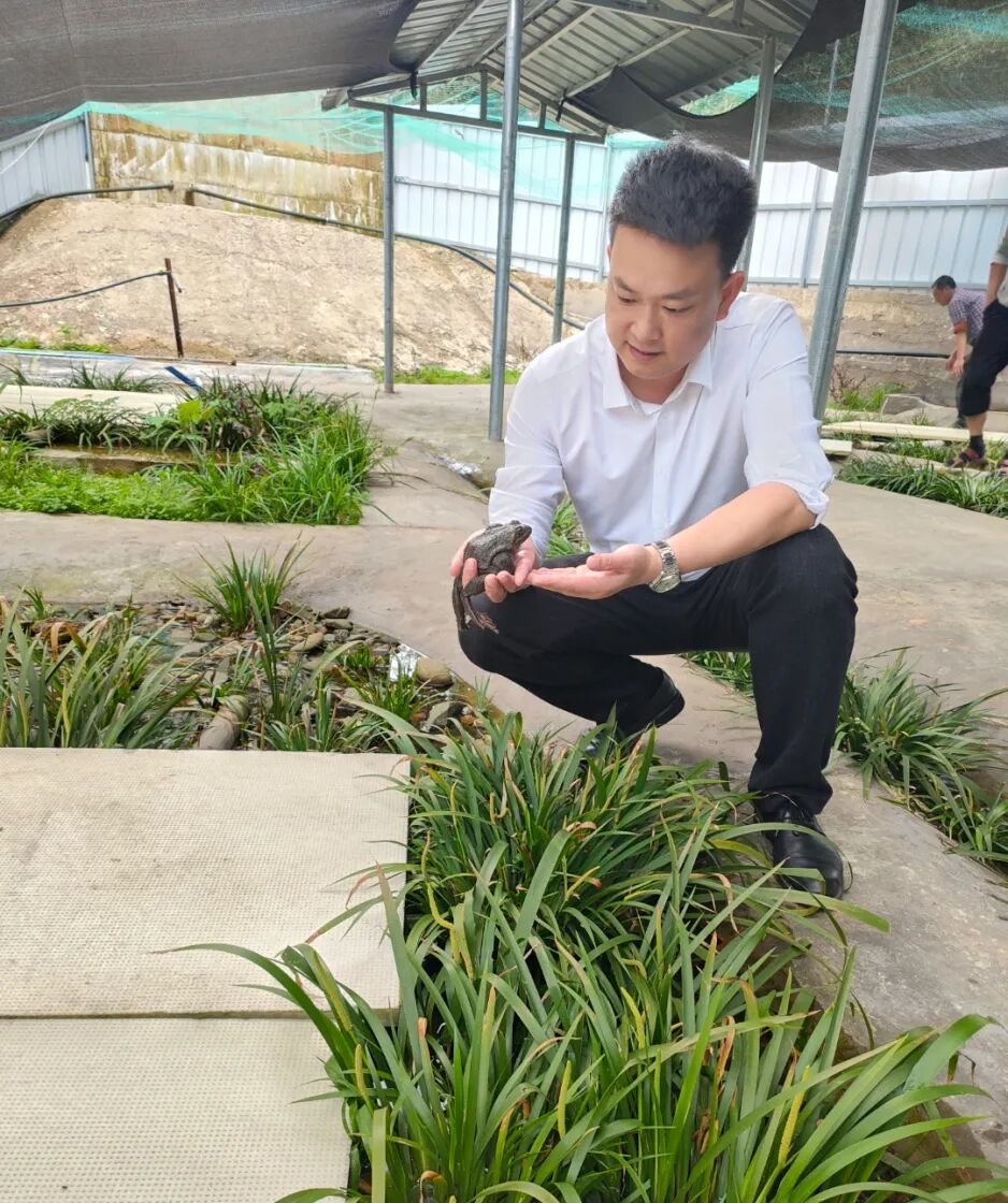 李青.jpg
