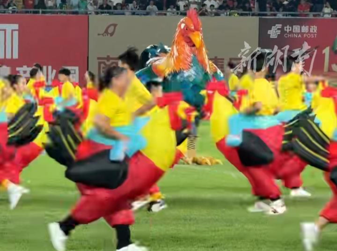 萌翻全场！衡山湘黄鸡现身湘超 网友：可爱到下不了嘴
