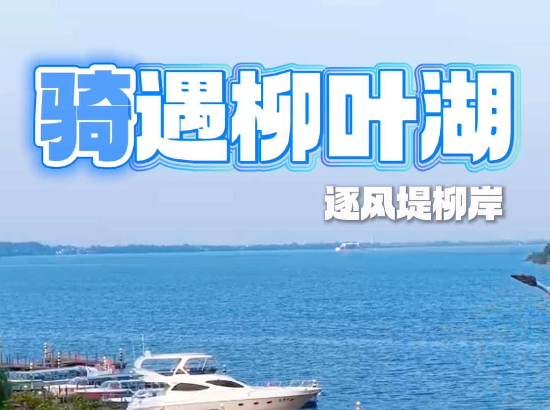 “骑”遇柳叶湖 逐风堤柳岸