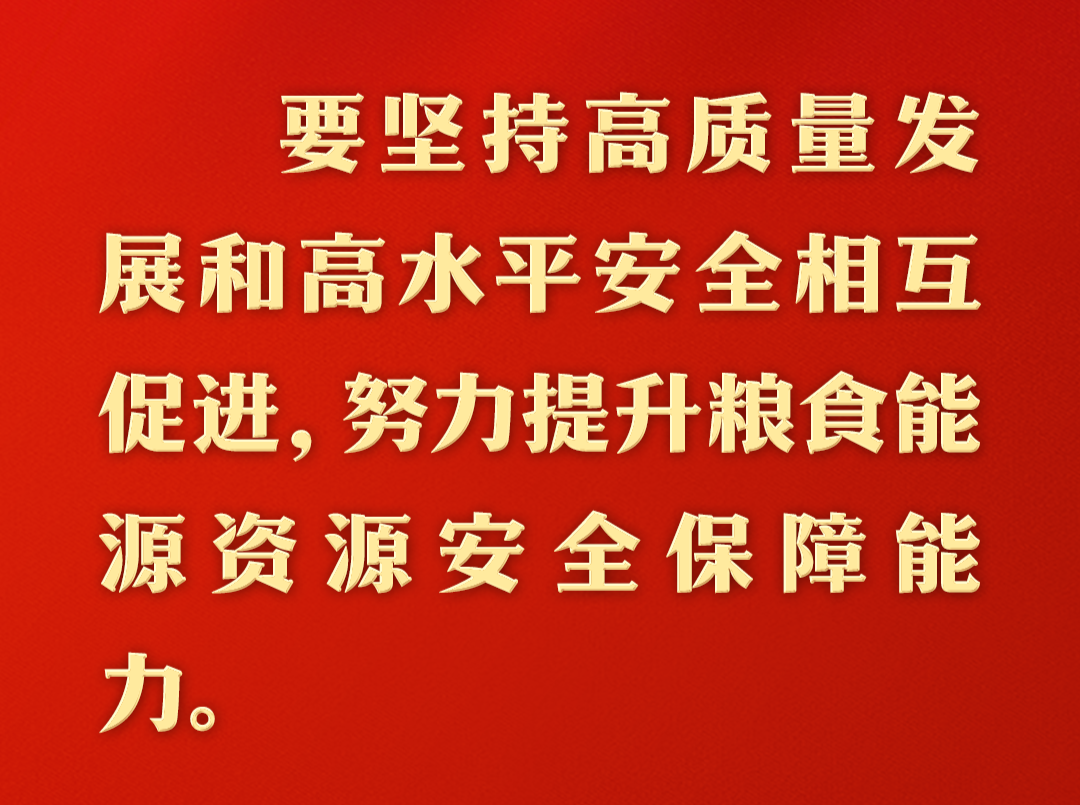 总书记的人民情怀丨“努力提升粮食能源资源安全保障能力”