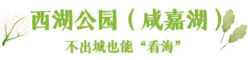 默认标题__2026-07-24+10_16_05.png