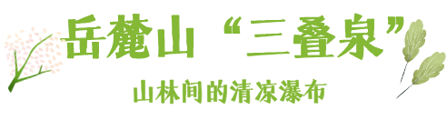 默认标题__2026-07-24+10_31_26.png