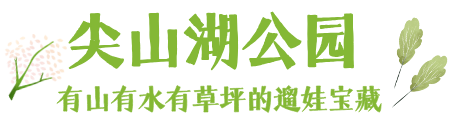 默认标题__2026-07-24+10_20_50.png