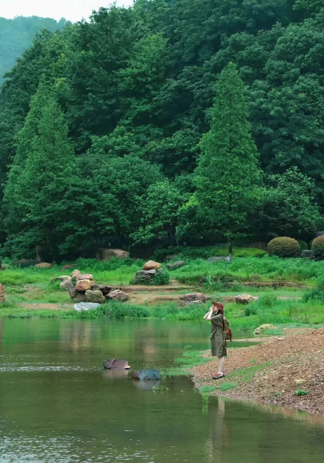 焖梨.jpg