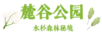默认标题__2026-07-24+10_26_21.png