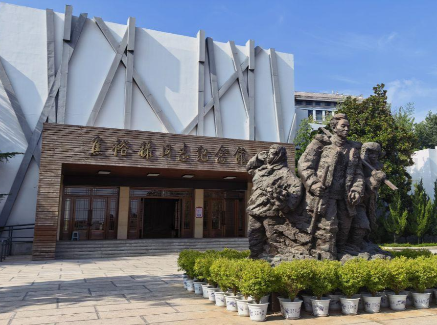 时政微观察丨从“树的故事”看正确政绩观