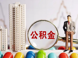 公积金功能，上新！