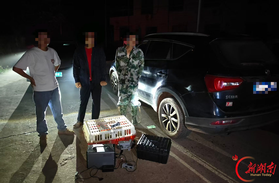 空中无人机锁定，地面驾车捡拾！3人“降维打击”式非法狩猎获刑