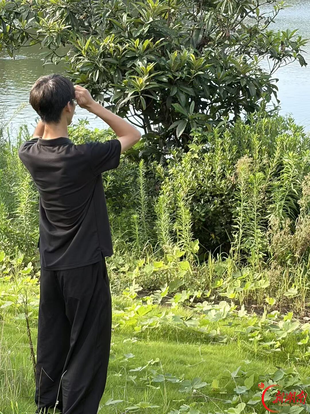 青春“三下乡”丨苇荡深处，那枚闪烁的“北斗”追上了候鸟的翅膀
