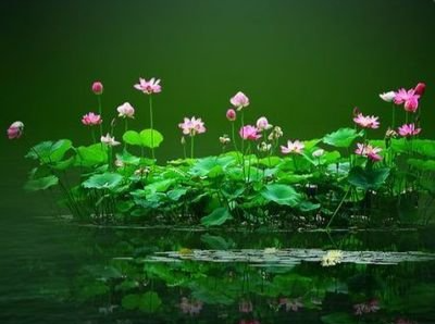 濂溪四首@湖南日报