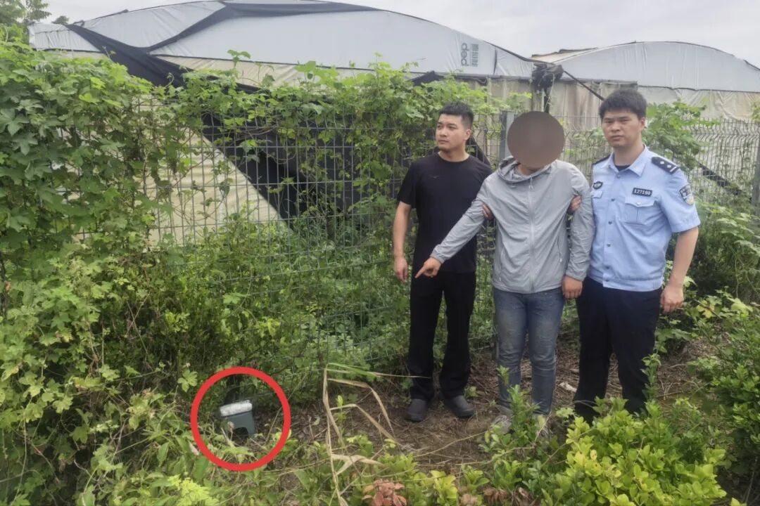 图片