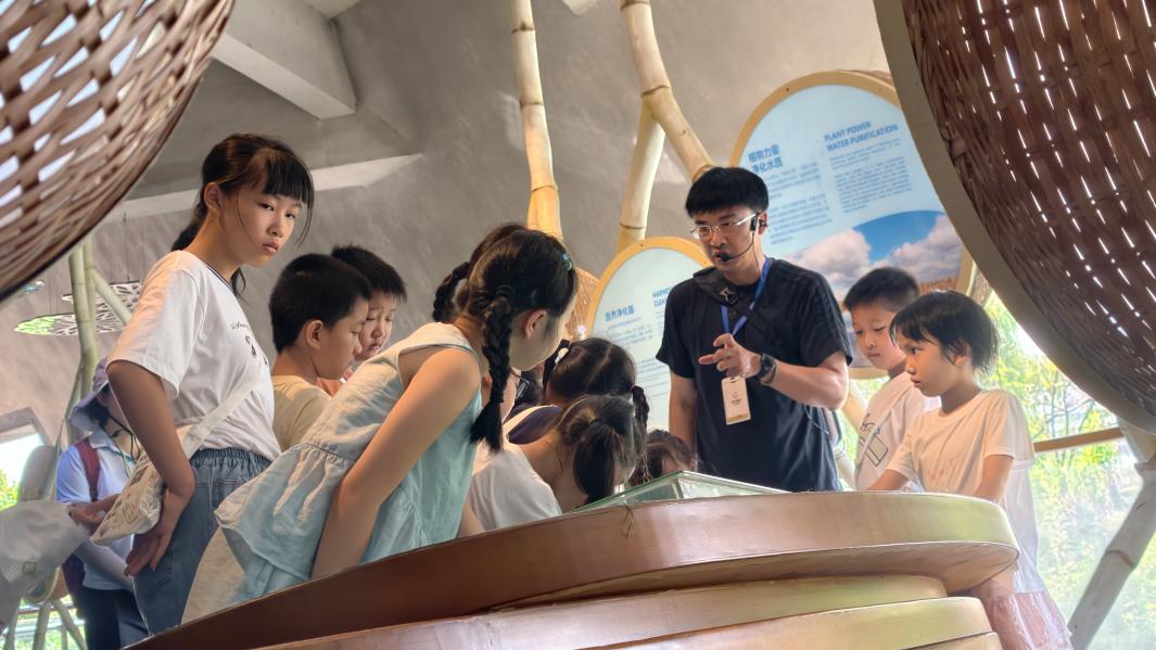 湿地也能“存”碳？小小“碳侦探”探秘长沙洋湖湿地
