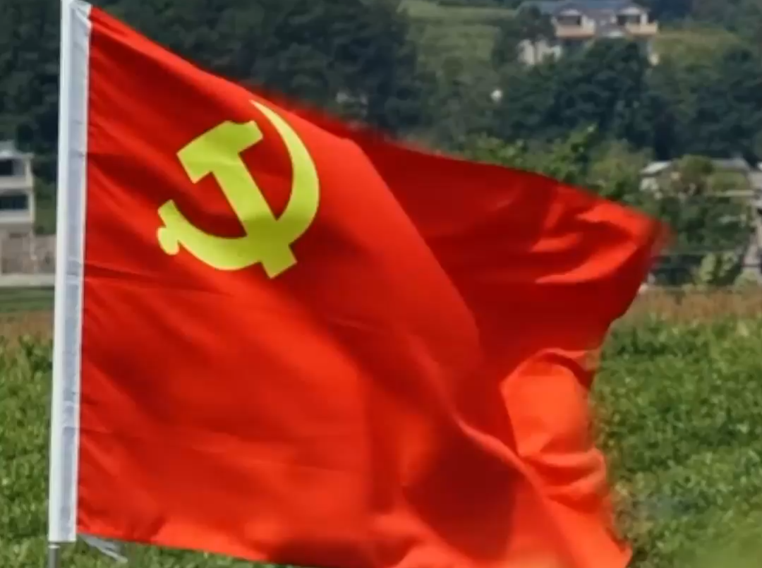 “发挥好支部的战斗堡垒作用”