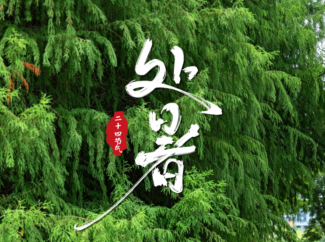 今日处暑 | 暑尽热未消 安全别“秋乏”