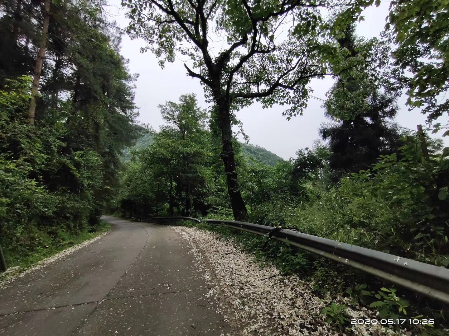 一条林区公路,见证瑶乡变迁