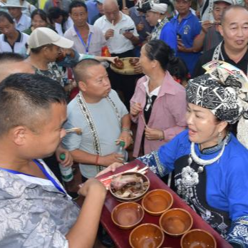 打破村域壁垒！吉首千亩油茶基地拉开建设序幕