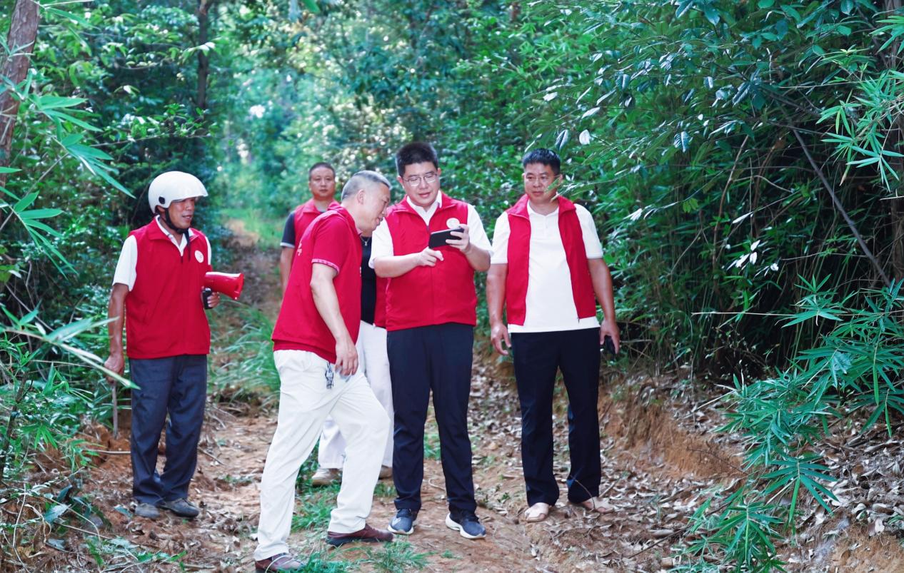 隆回横板桥镇：林长制让每一片青山都有“管家”