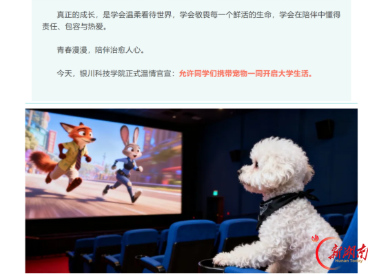 带宠物上大学，是温情治理还是营销噱头？