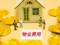 执护安居 速解纠纷 临湘法院高效执结物业纠纷案