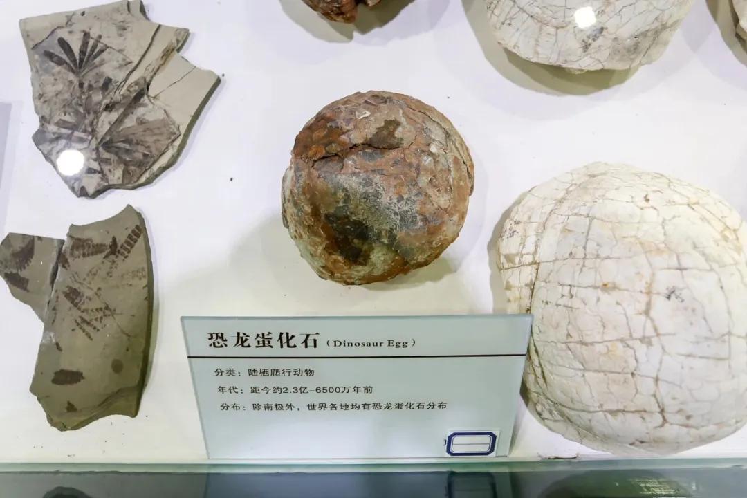 沿着驼铃古道，解锁石景山古迹漫游