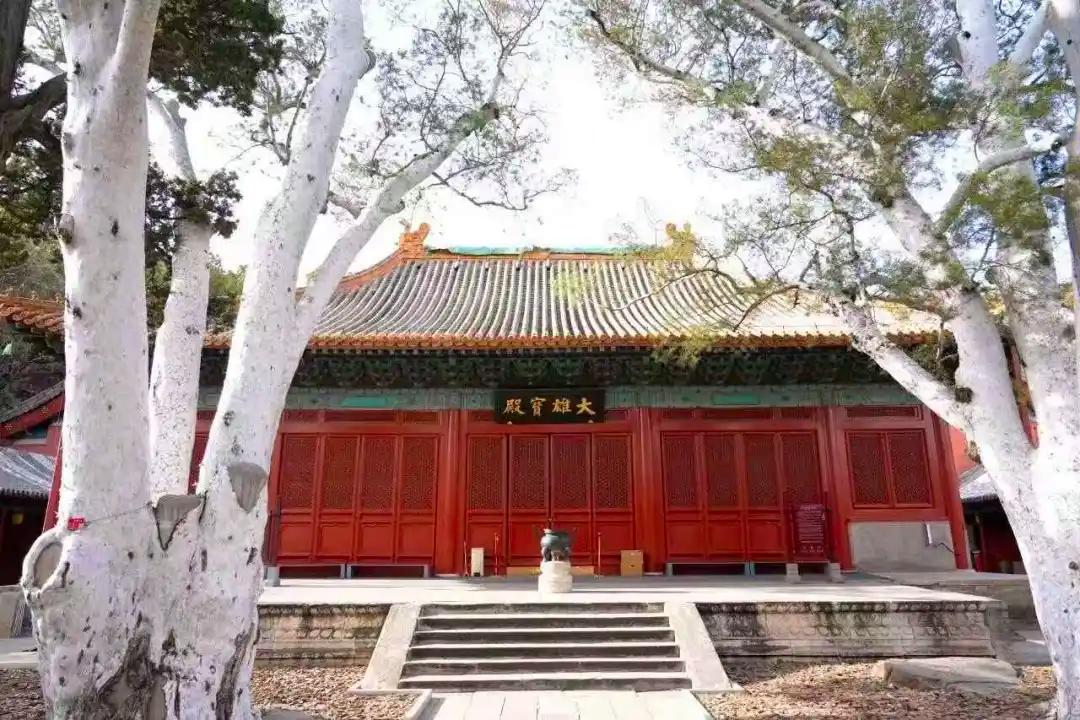 沿着驼铃古道，解锁石景山古迹漫游