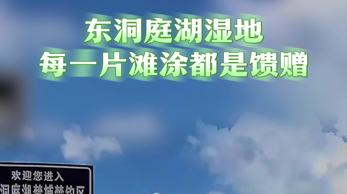 东洞庭湖湿地，每一片滩涂都是馈赠丨湖南真美
