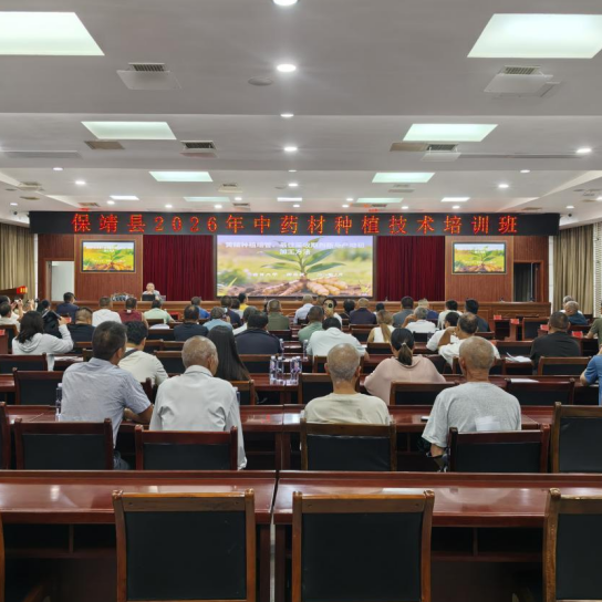从“点上开花”到“链上成景”，保靖县加快推进中药材产业链建设