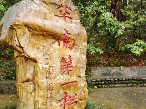 散文丨森林守护神