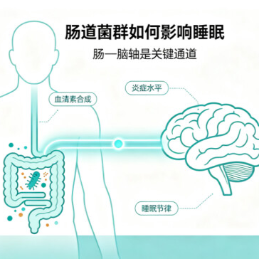 原来，肠道菌群也能影响睡眠……