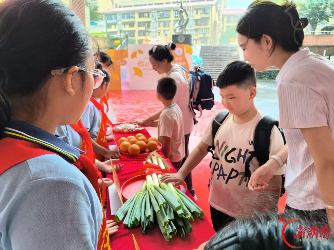 萌新启新程！娄星区各小学特色入学礼点亮求学第一课
