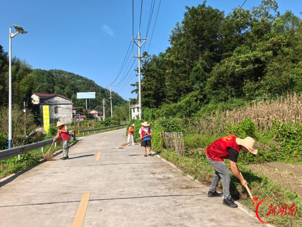 安化县｜刷新乡村 “门面”，马渡村“梅山红”亮风采