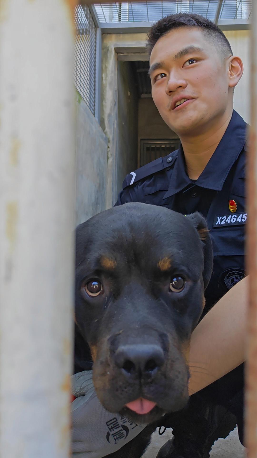 抽签定“战友”！北京警察学院警犬专业大三学生的开学第一课