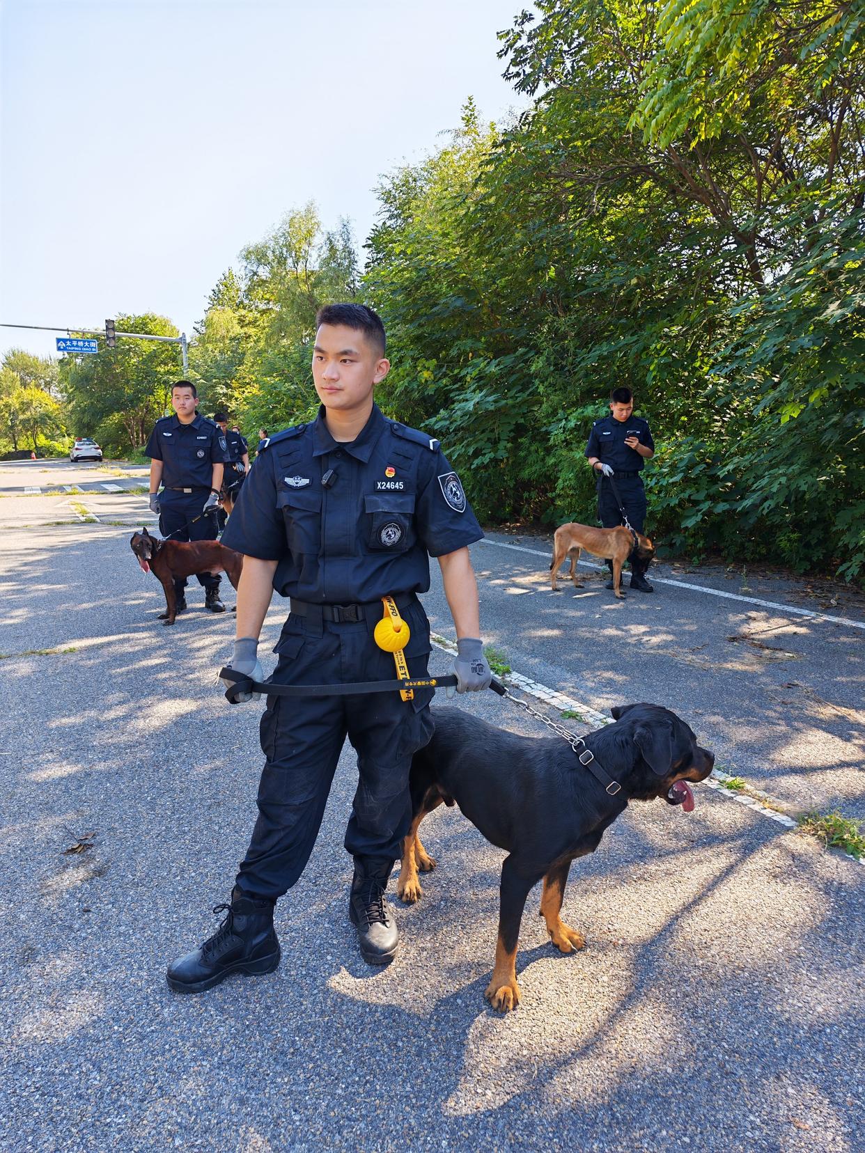 抽签定“战友”！北京警察学院警犬专业大三学生的开学第一课