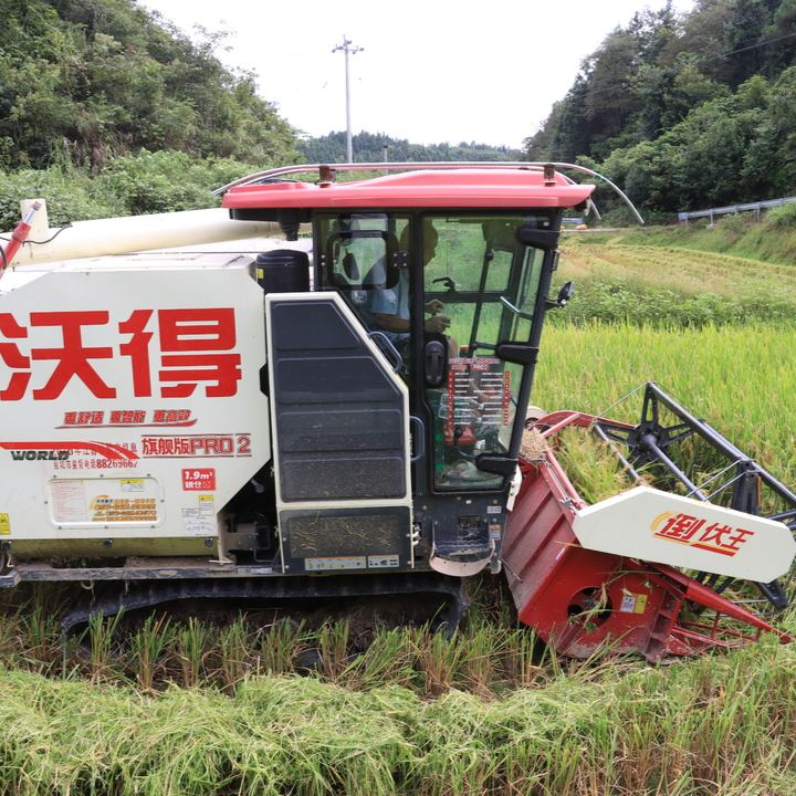 江苏盐城农机手夫妇连续11年跨越1500公里赴麻阳助收，苗家乡亲年年备好家宴答谢