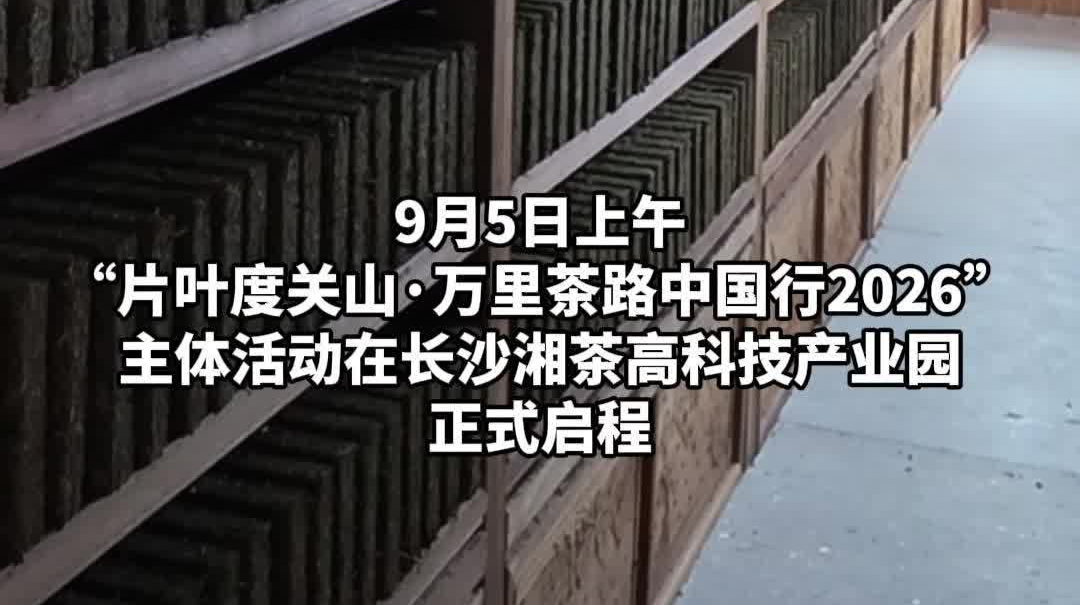 5000公里，跨越5省区！一片湖南茶叶从长沙启程出发 