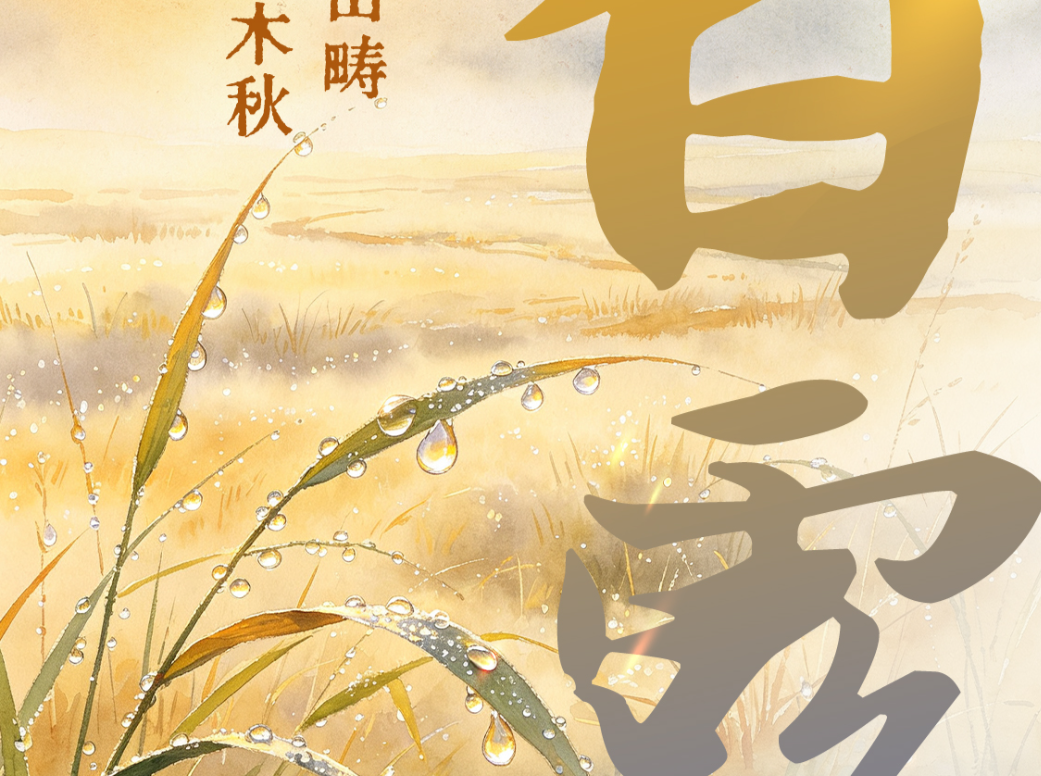 海报丨白露凝田畴 风染草木秋