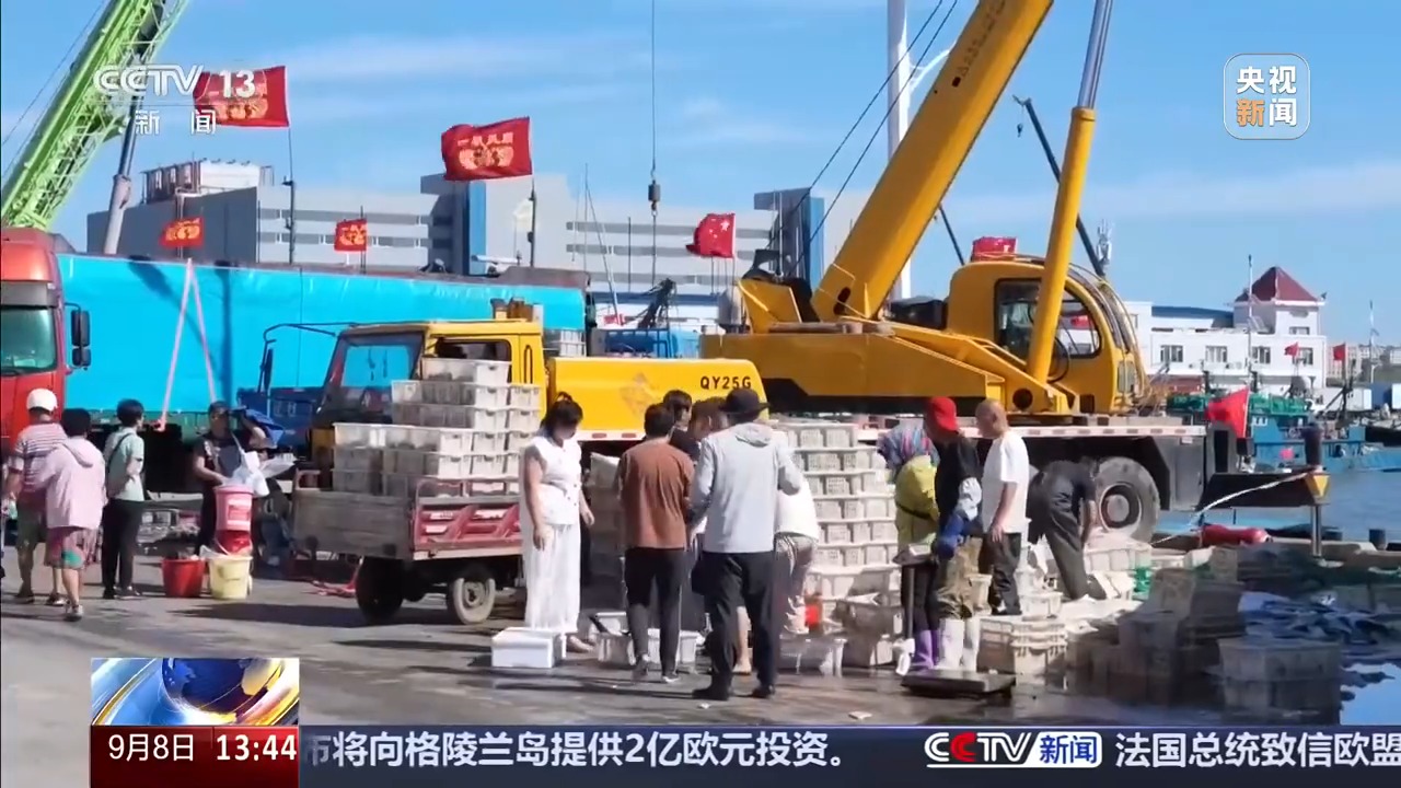 先尝鲅鱼，再吃对虾！大连开渔“海鲜时刻表”请收好
