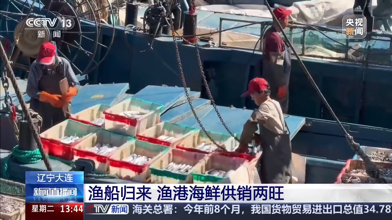 先尝鲅鱼，再吃对虾！大连开渔“海鲜时刻表”请收好