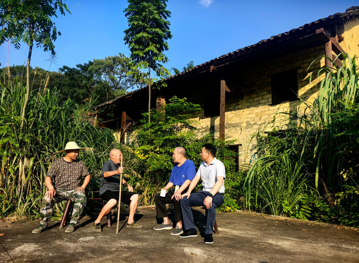 拆旧除险筑屏障 治村凝心促振兴——耒阳市南阳镇“拆四旧”专项行动夯实基层治理根基