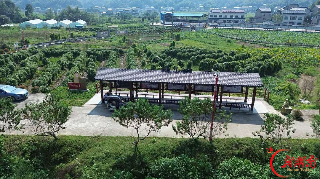桃江县｜退休的他，用一块黑板在村里开了近百期“微课堂”