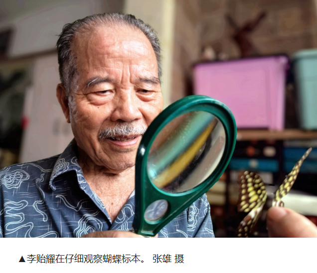 给5种全球独有的东安蝴蝶“上户口”后，这位老教师把5000件标本全捐了