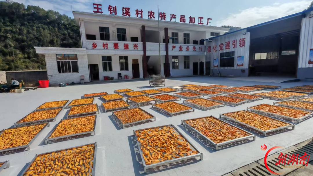 溆浦县祖师殿镇:“驻点连片”兴产业 农货直供长三角