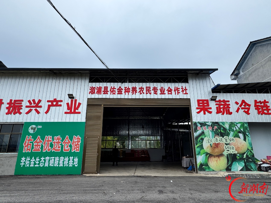 溆浦县祖师殿镇:“驻点连片”兴产业 农货直供长三角
