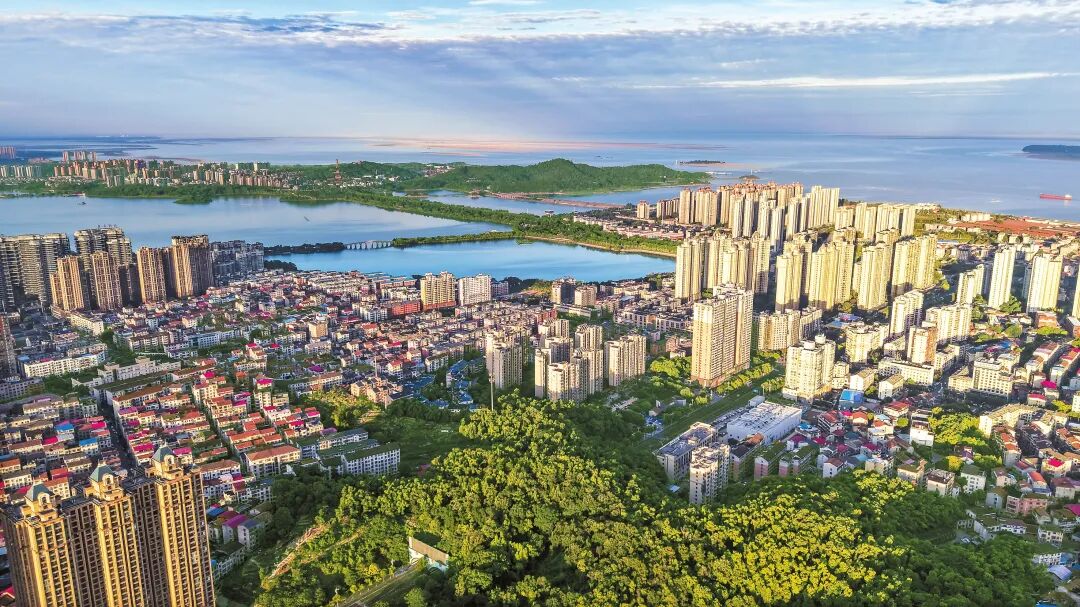 喜迎党代会 岳阳这五年｜五年里，岳阳的江豚净增32头！